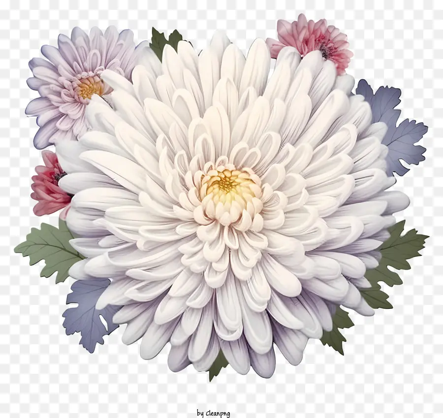 цветок，белый цветок PNG