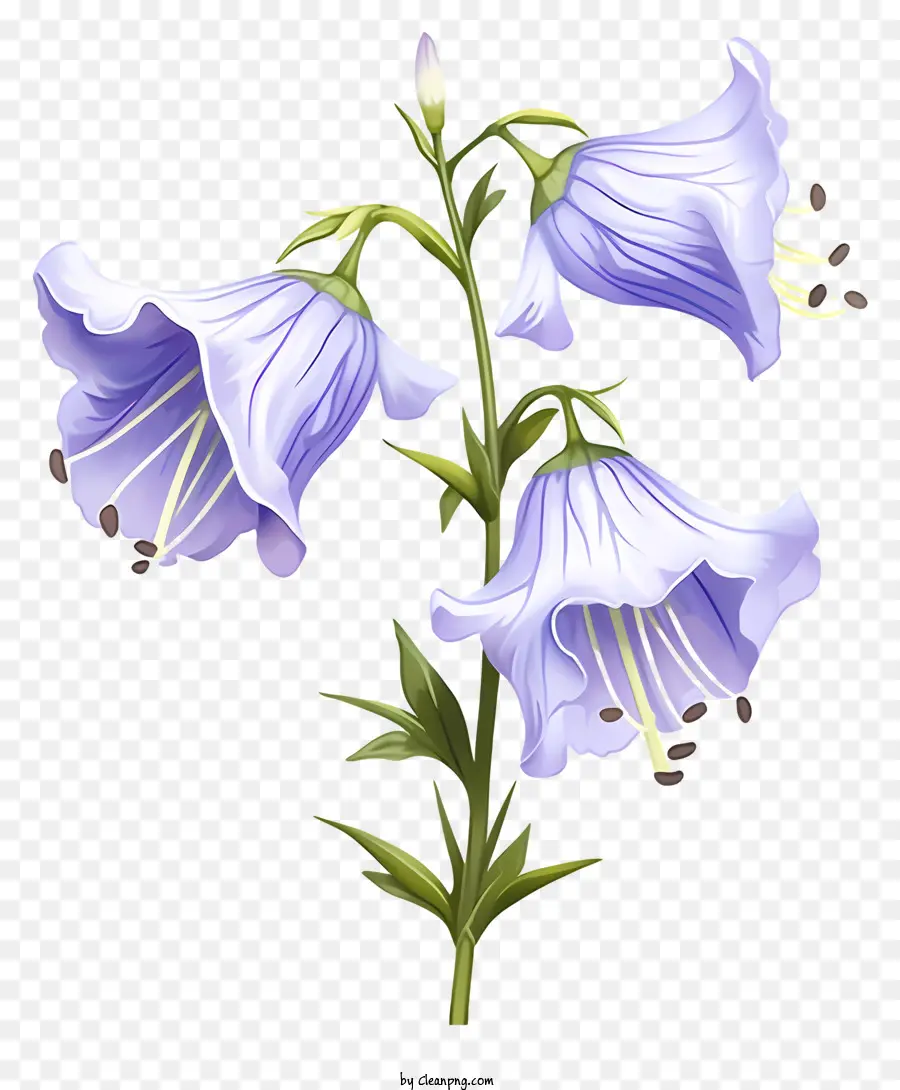 фиолетовые цветы，симметричный рисунок PNG