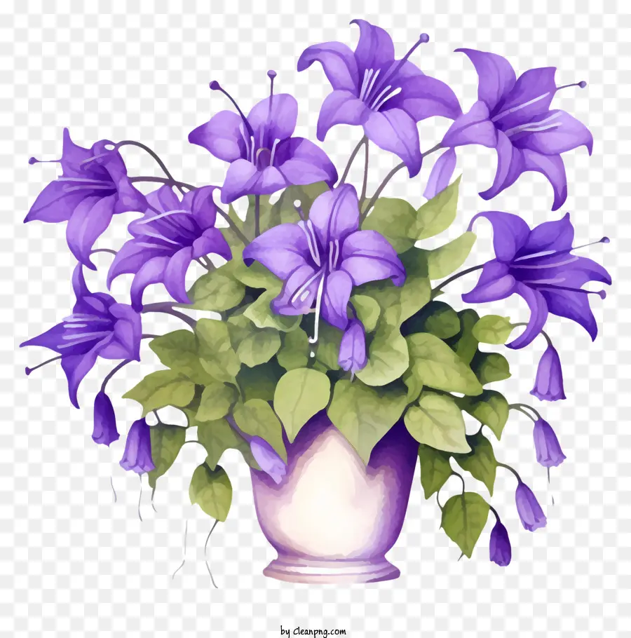 фиолетовые цветы，Ваза PNG