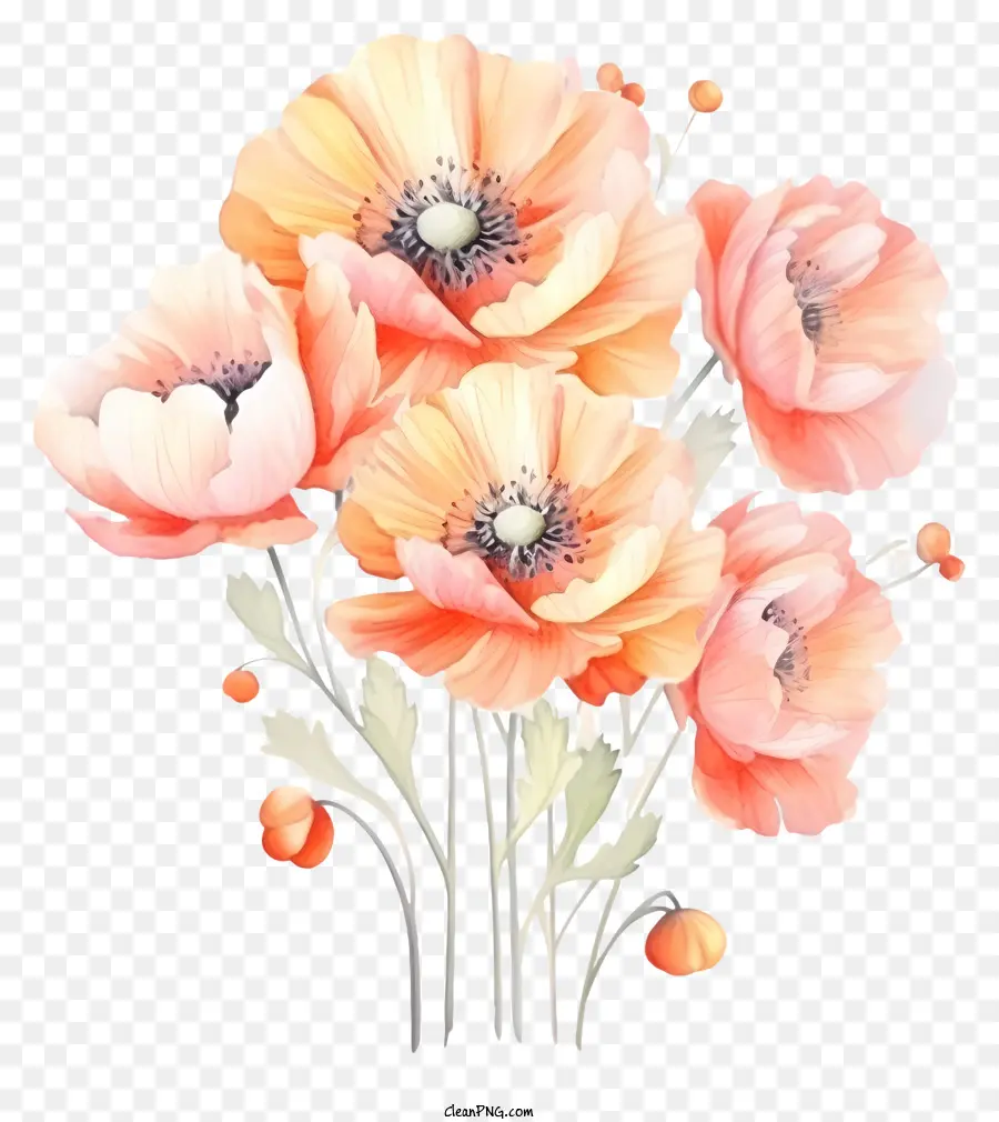персиковые цветы，букет PNG