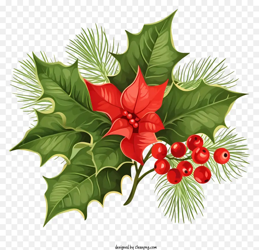 Рождество пуансеттия，красная и зеленая пуансеттия PNG