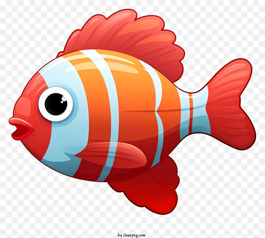 красно белая рыба，полосатая рыба PNG