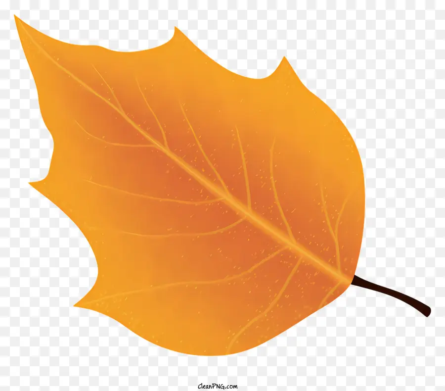 вены листьев，оранжевый лист PNG