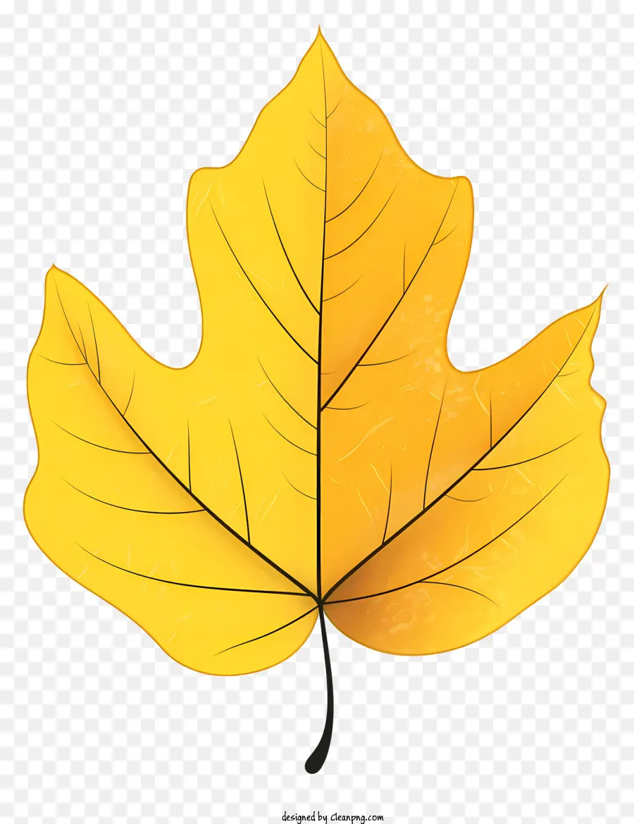 золотисто желтый кленовый лист，вен PNG