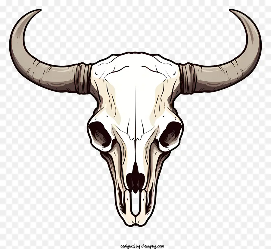 череп，рогатый череп PNG