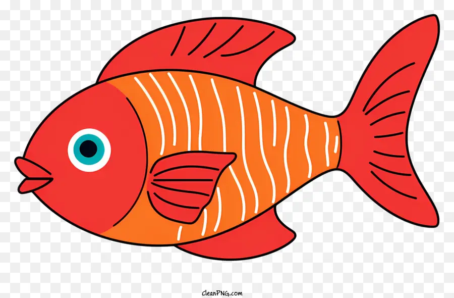 Рыбы，красное тело PNG