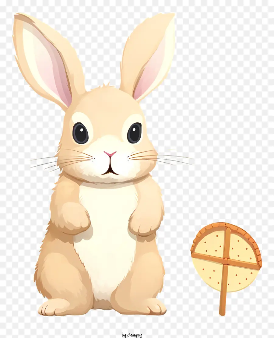 Bunny Rabbit，милый кролик PNG