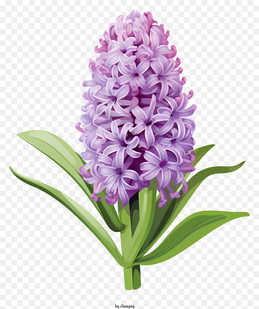 фиолетовый цветок，блестящие лепестки PNG