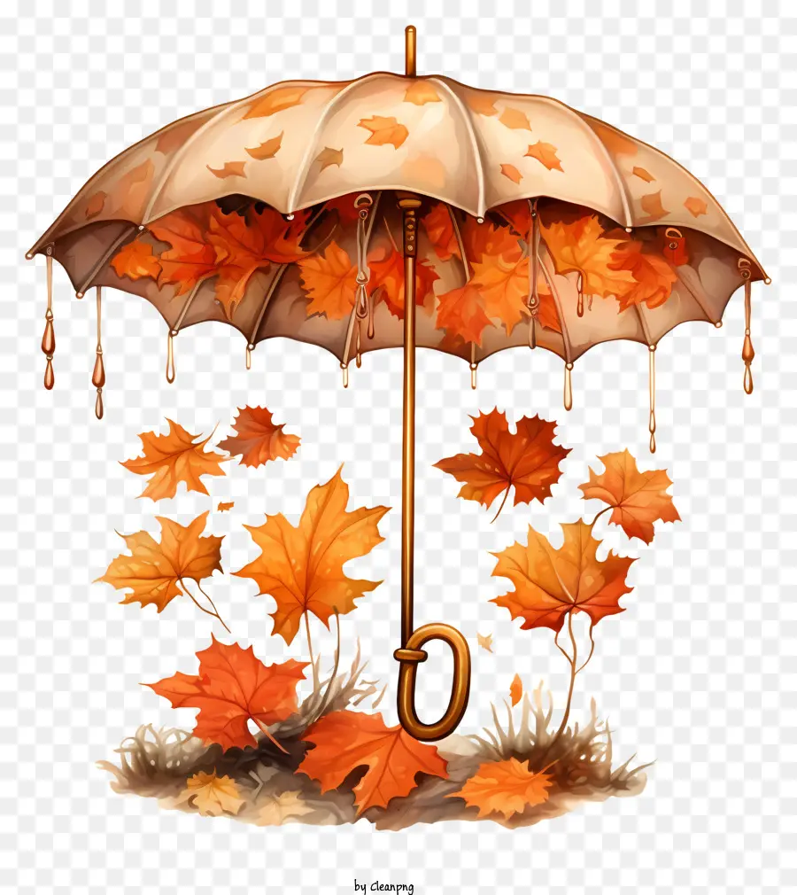 Зонтик，Осенние Листья PNG