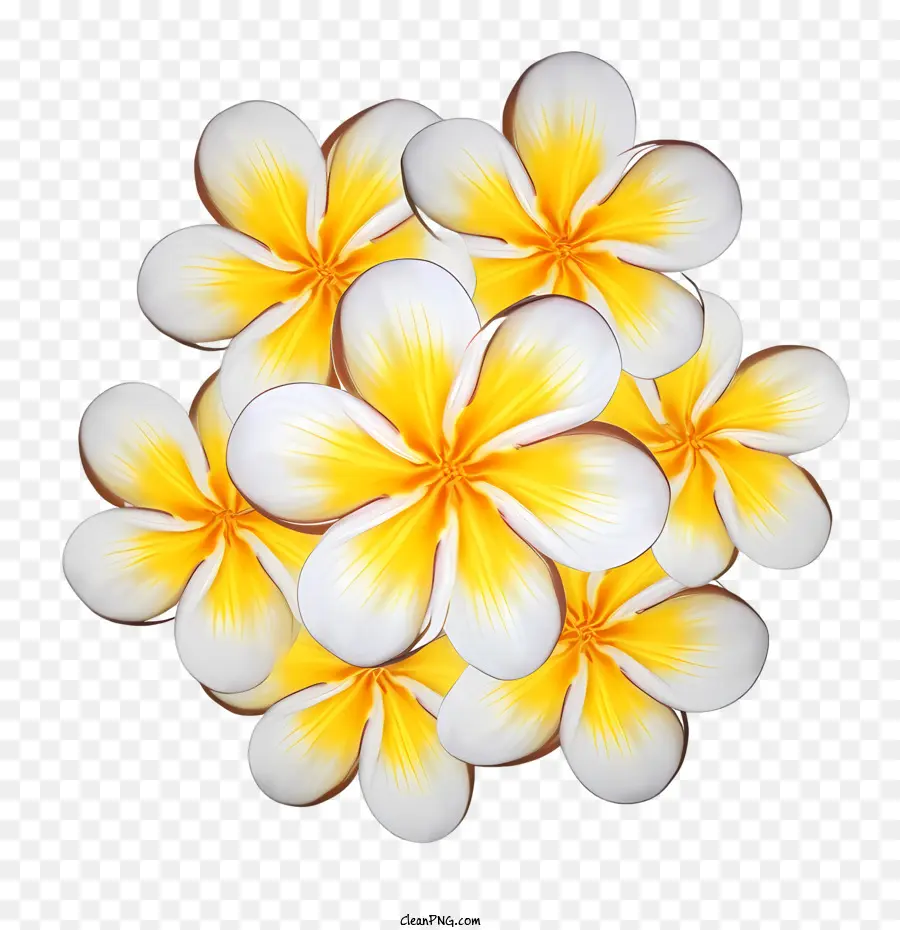 Frangipani цветок，желтый PNG