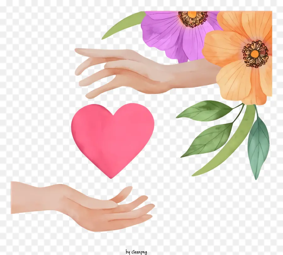 Руки обличают сердце，розовое сердце PNG