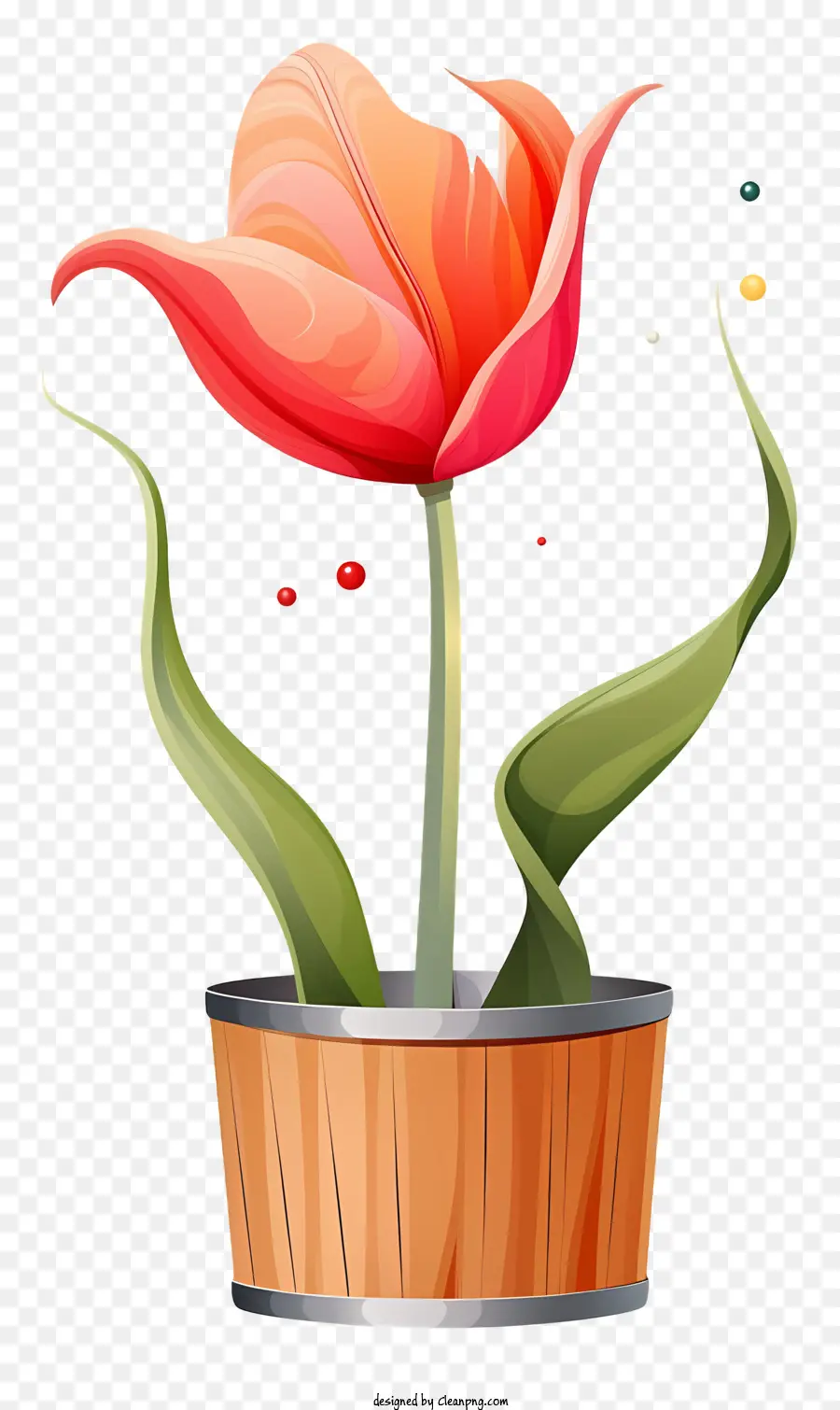 цветочный горшок，Тюльпан PNG