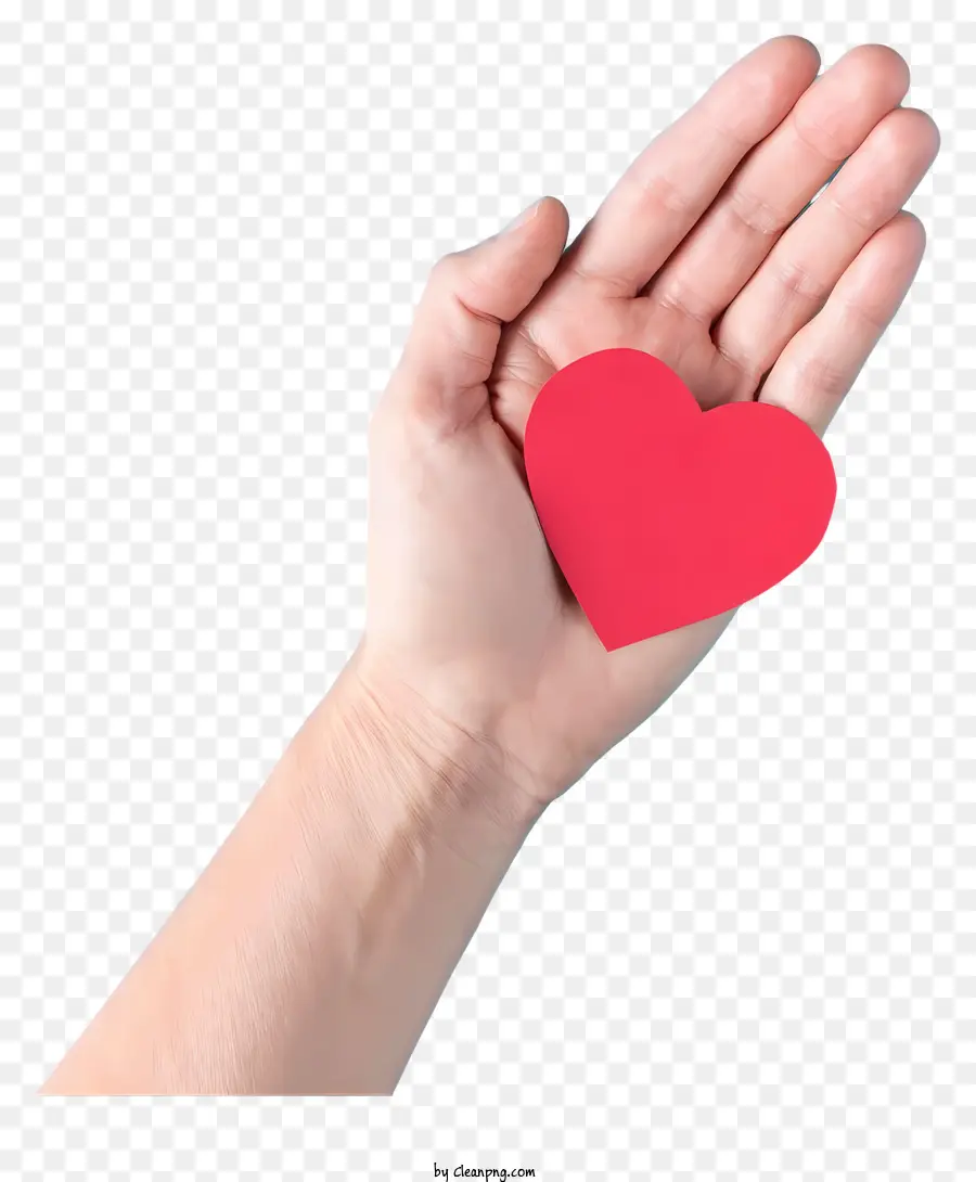 человеческая рука，красное сердце PNG