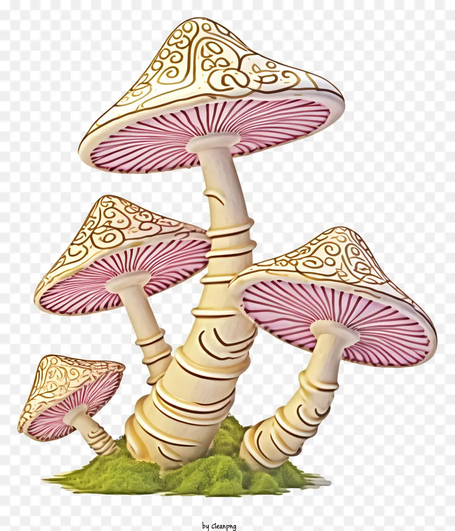 грибы，Розовые грибы PNG