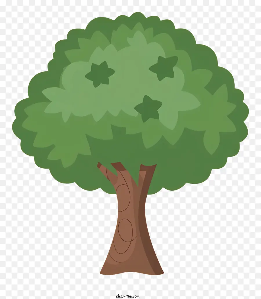 Дерево，листья PNG