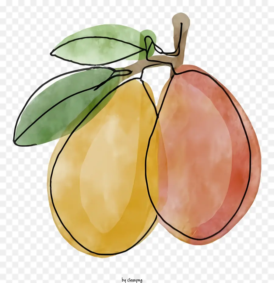манго，Фрукты PNG