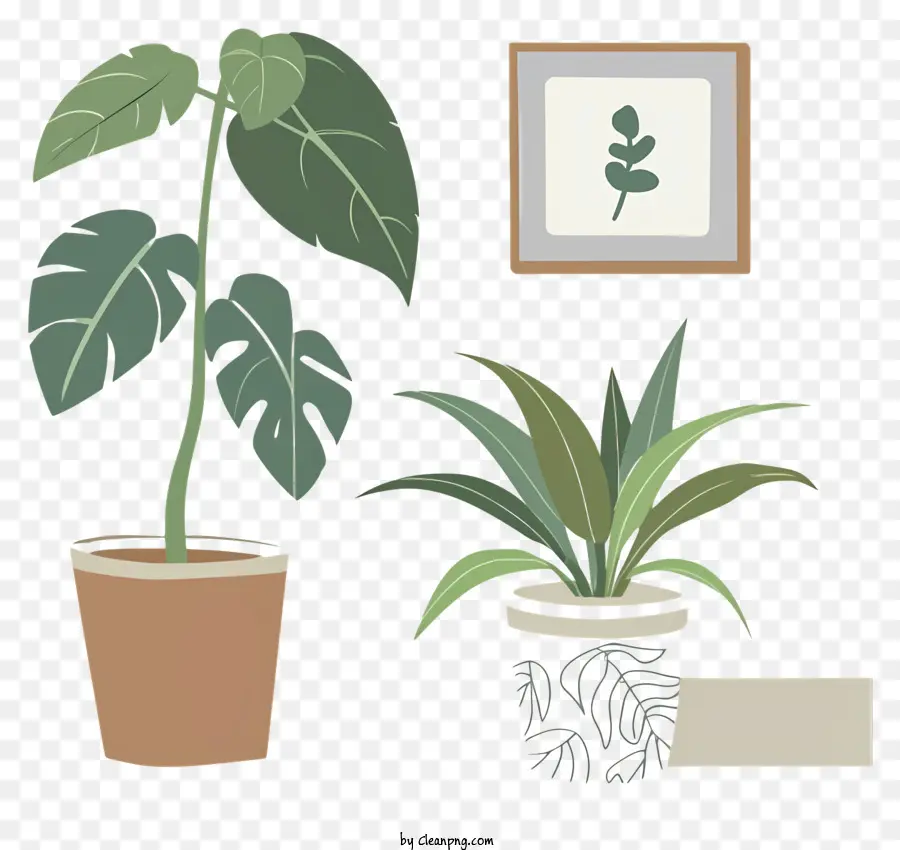 комнатные растения，горшечные растения PNG