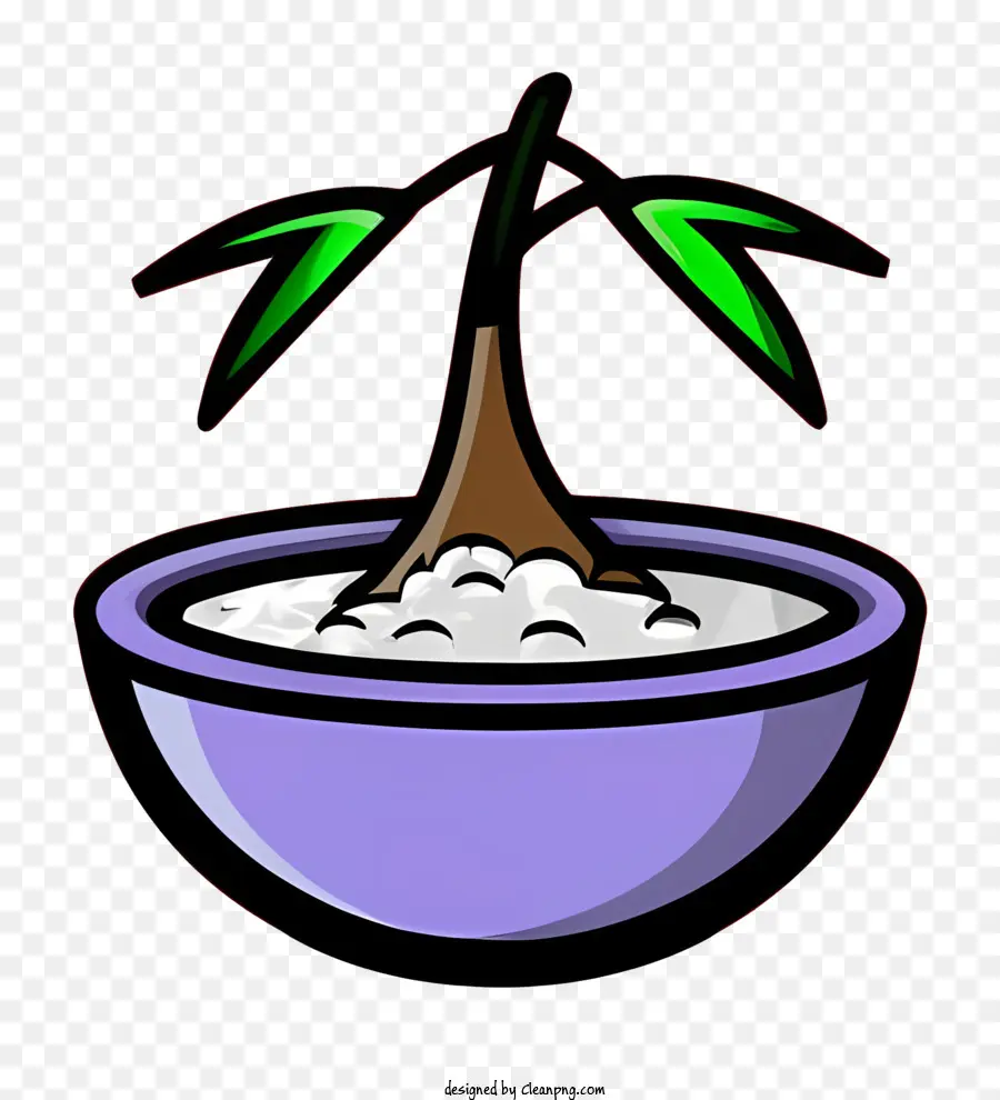 чаша для риса，бамбуковое дерево PNG