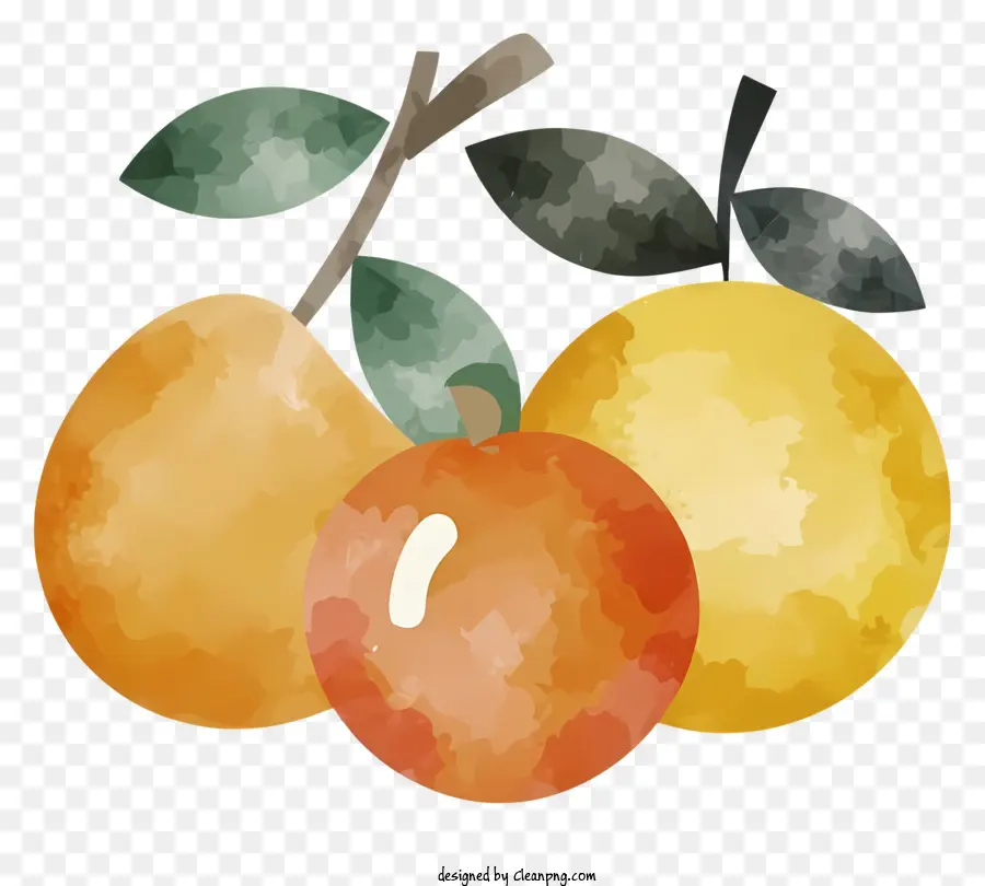 Fruits，оранжевый PNG