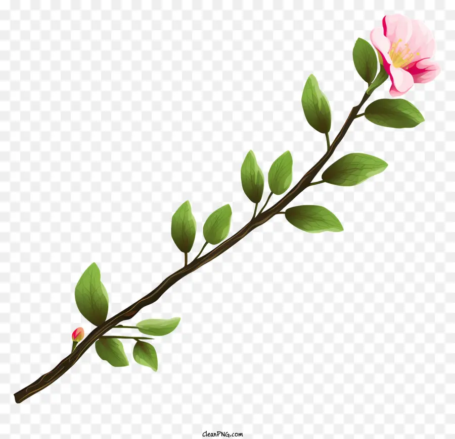 розовый цветок，Одиночный розовый цветок PNG