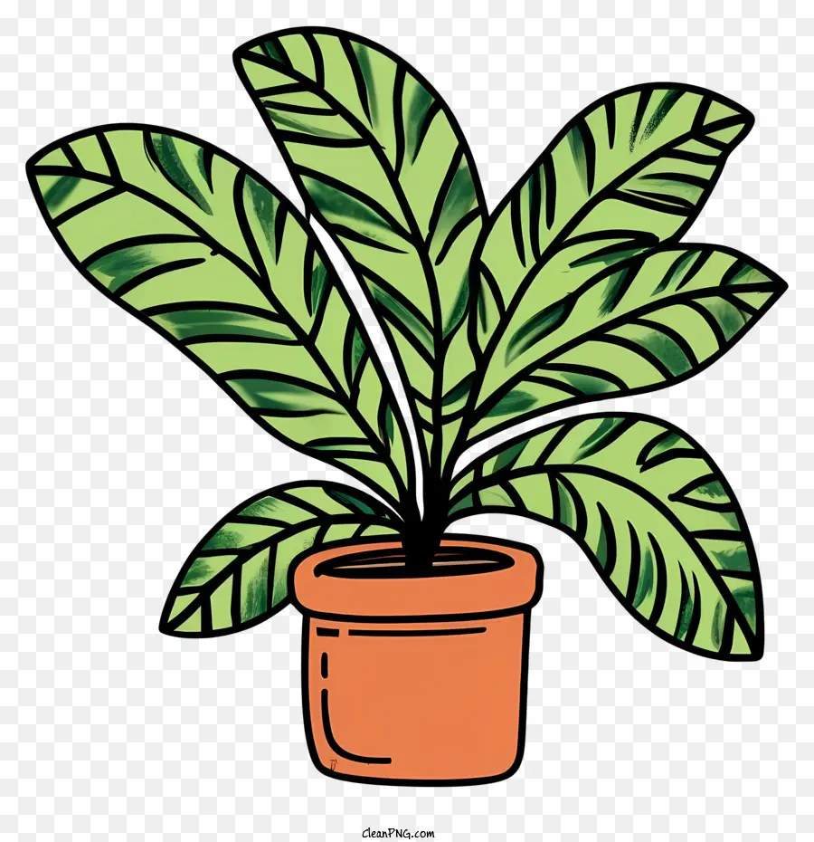 Большое горшечное растение，зеленые листья PNG