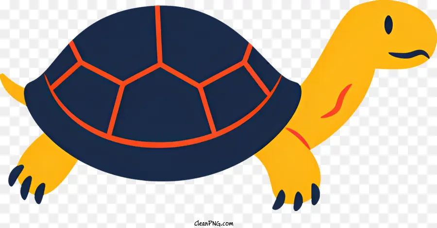 мультфильм черепаха，черепаха PNG