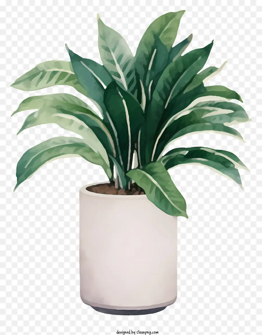 Белый Керамическая Ваза，зеленое растение PNG