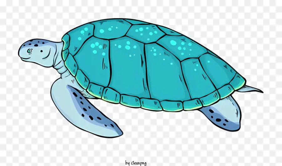 мультфильм черепаха，оболочка PNG