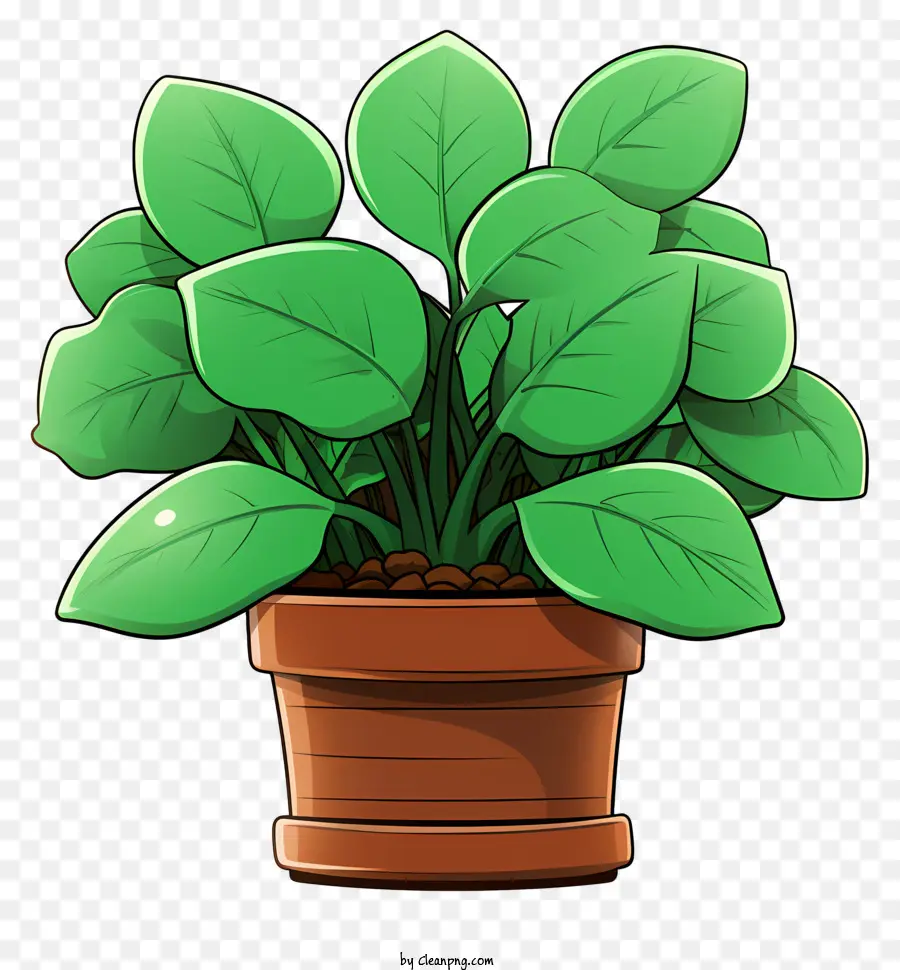 комнатные растения，горшечные растения PNG