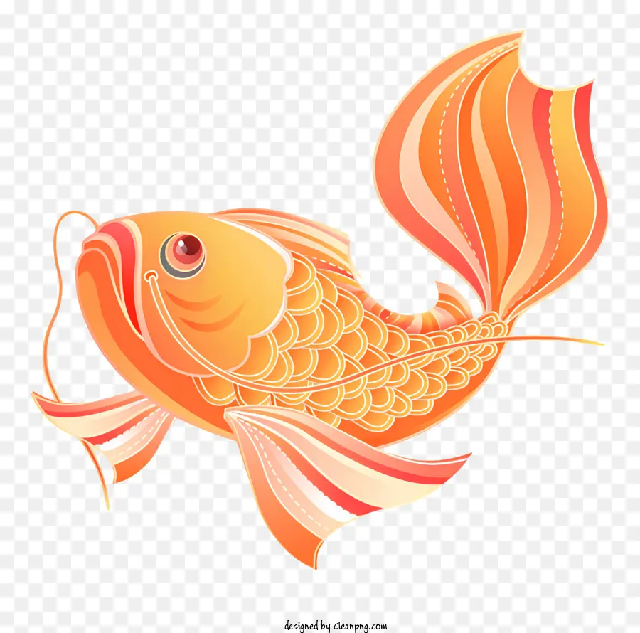 Золотая рыбка，Оранжевое тело PNG