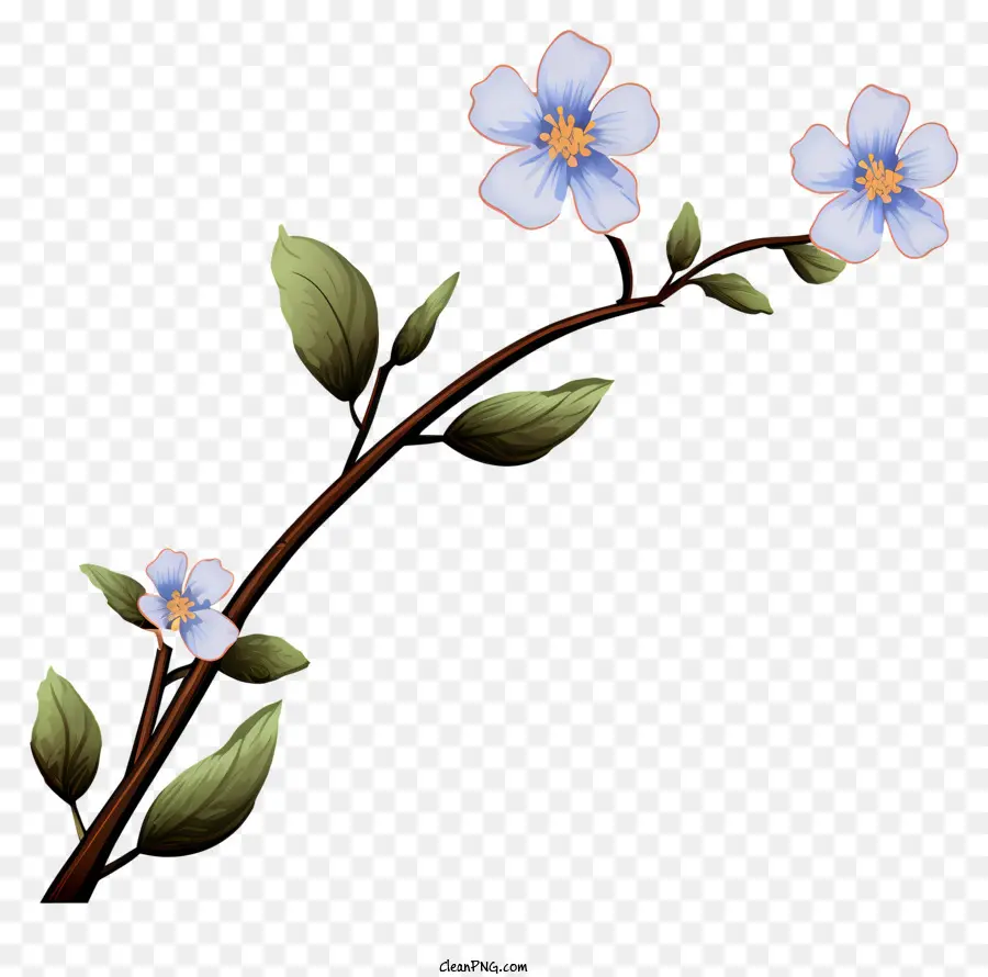 маленький белый цветок，голубые лепестки PNG