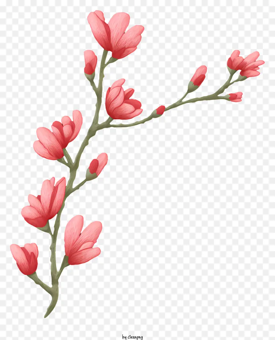 маленький цветок，розовый цветок PNG
