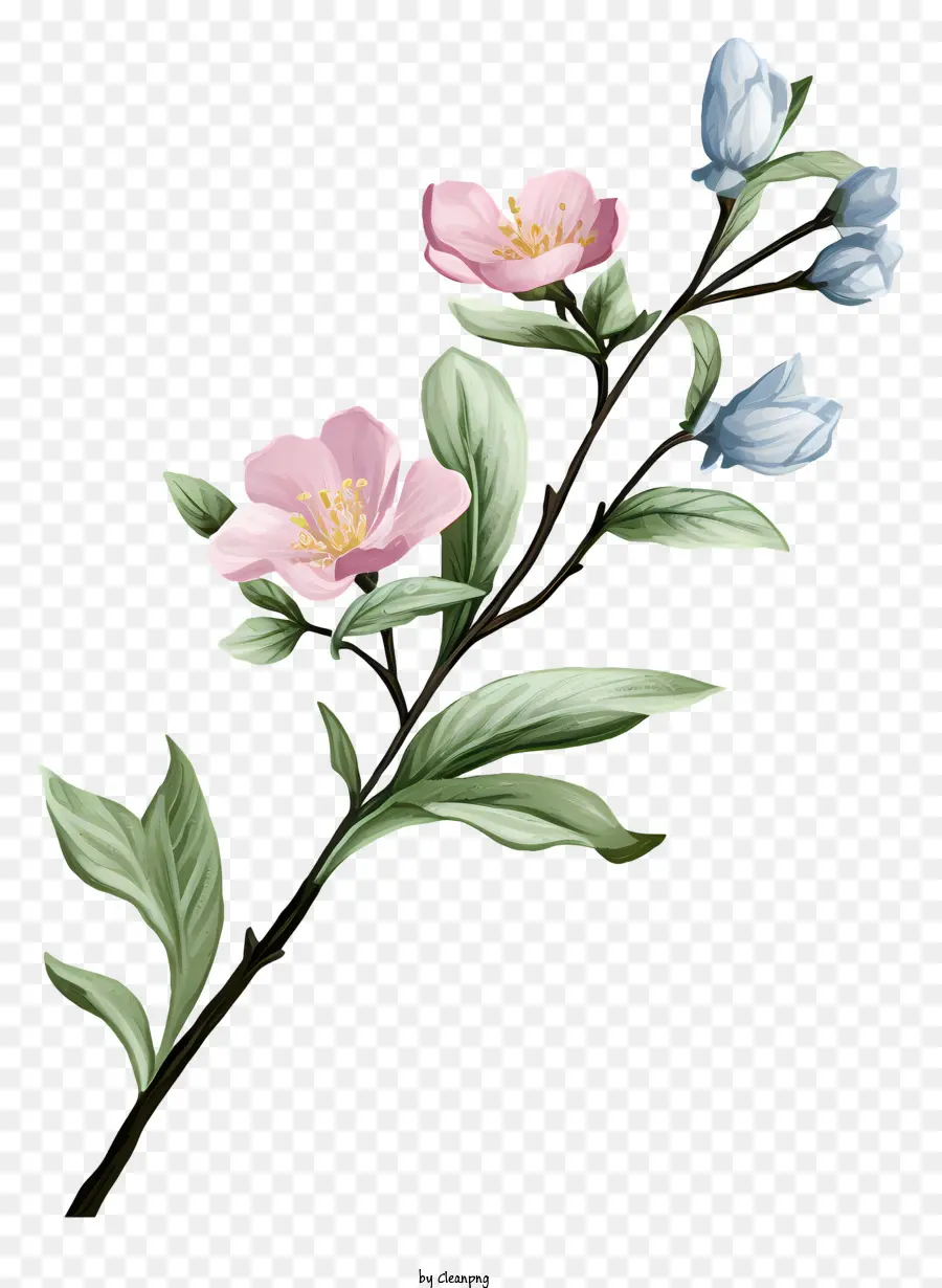 изгиб ветвь，Розовые цветы PNG