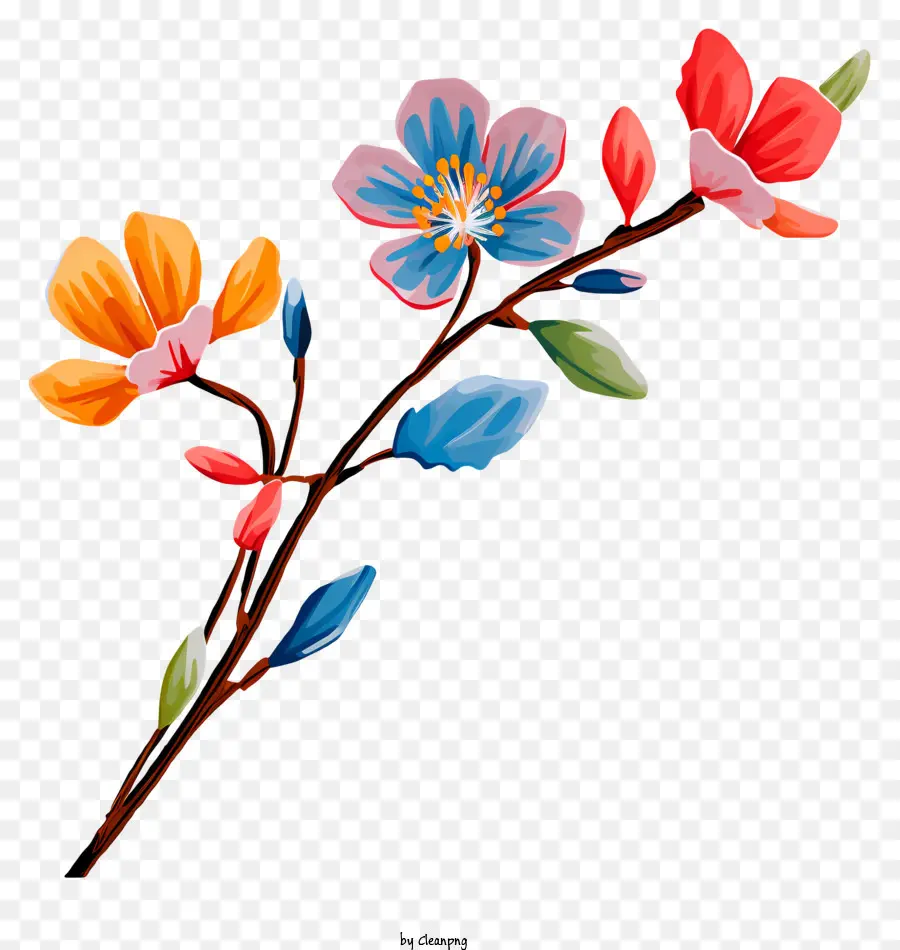 ветвь с цветами，Красочные цветы PNG
