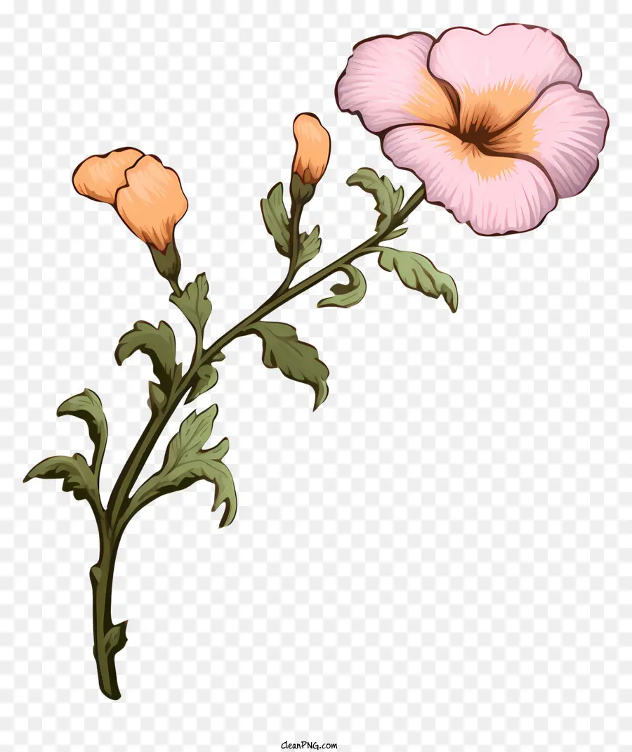розовый цветок，Стебель с листьями PNG