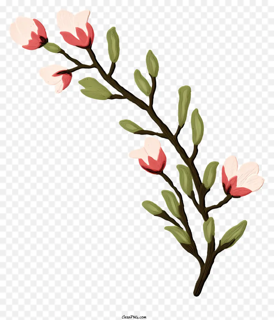 Филиал，Розовые цветы PNG