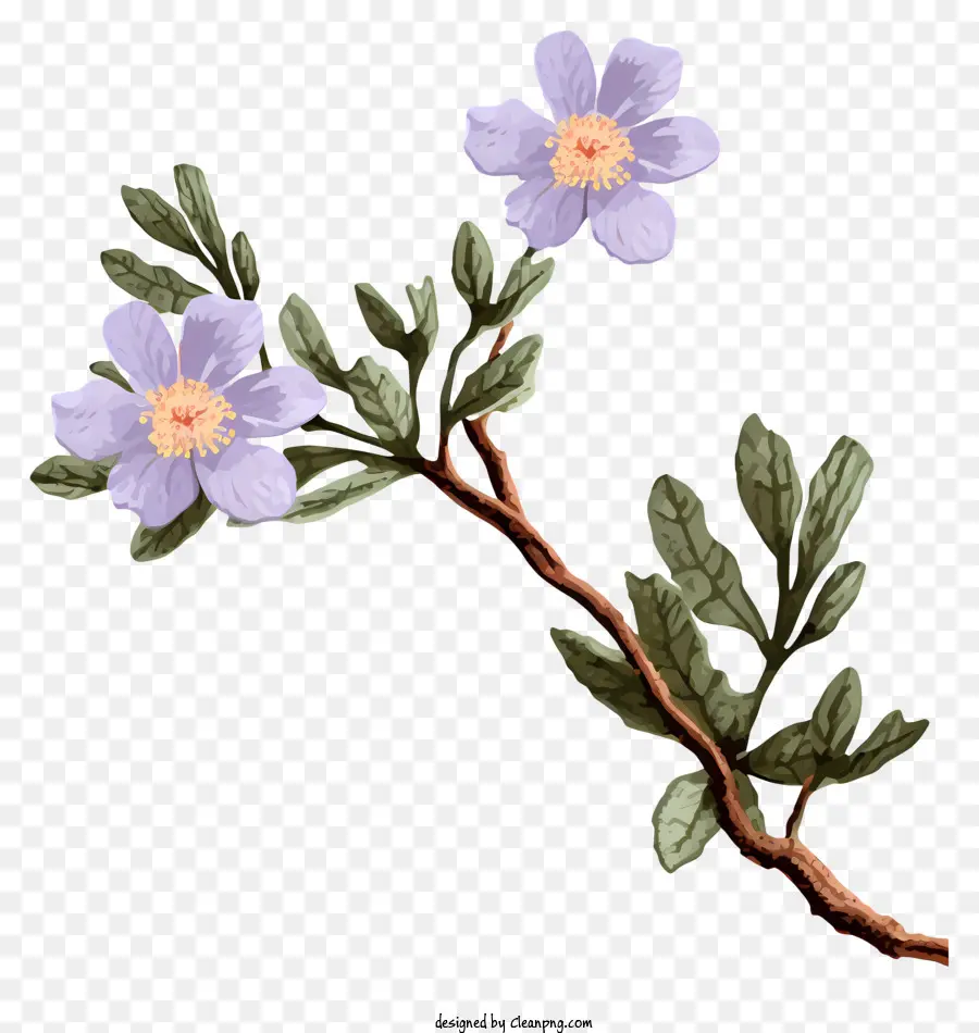 цветок，Vibrant PNG