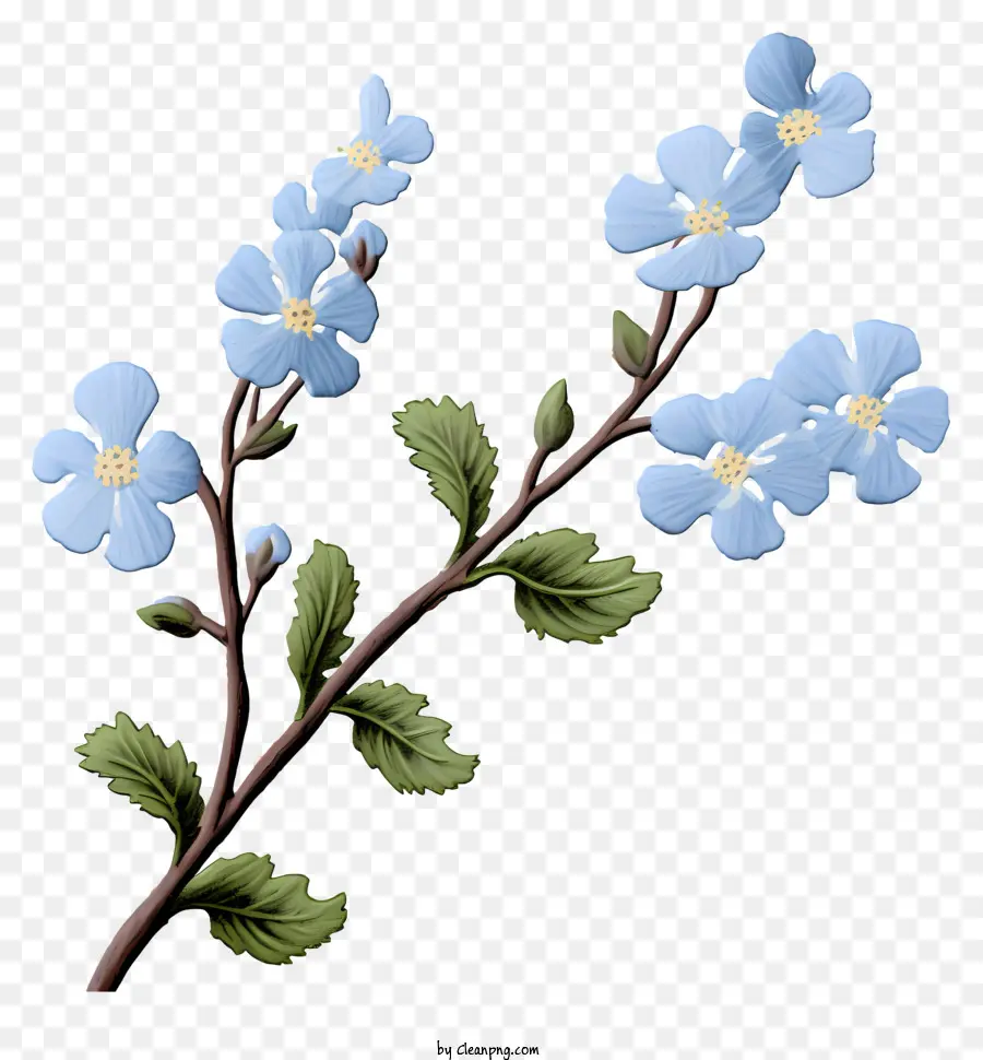 небольшой филиал，синие цветы PNG