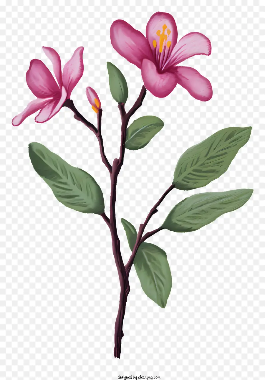 розовый цветок，Цветок на ветке PNG