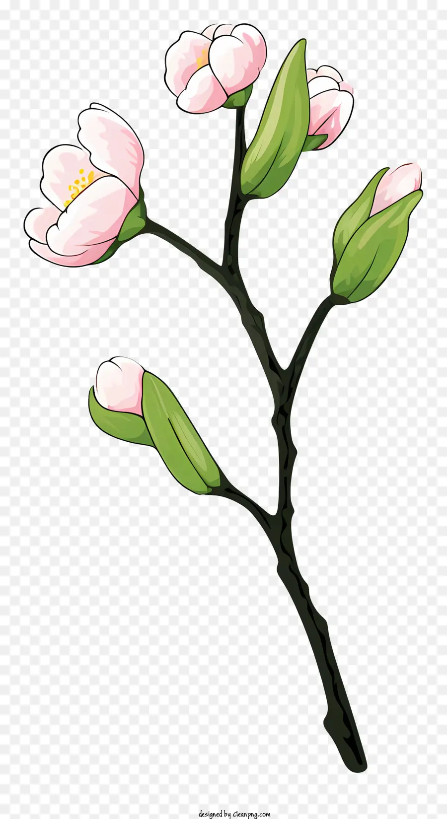ветка дерева，Розовые цветы PNG