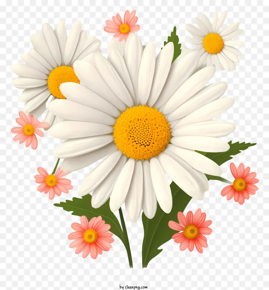 букет，Daisies PNG