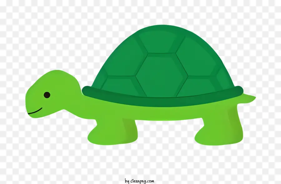 зеленая черепаха，черепаха PNG