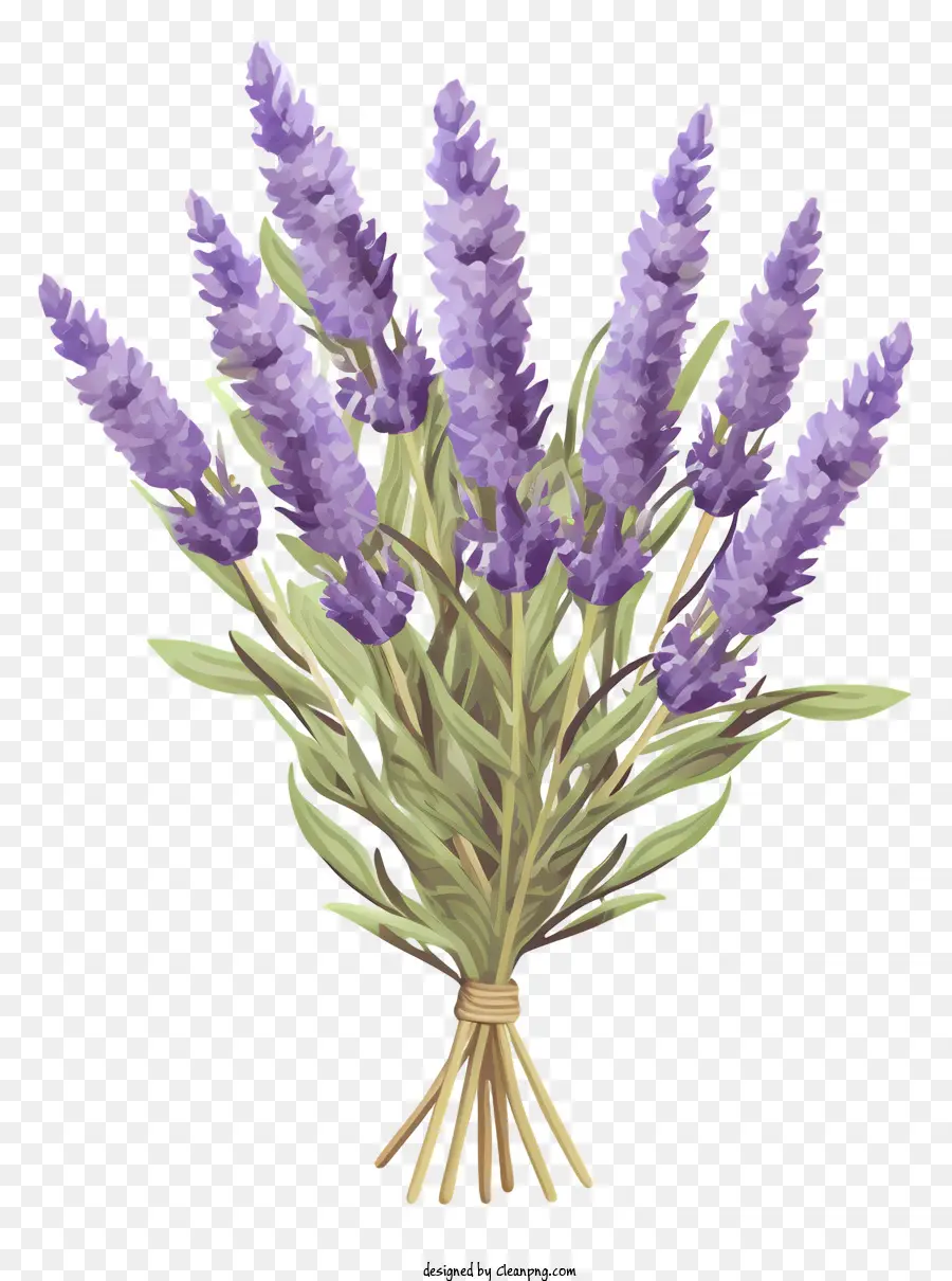 Лавандовый Букет，бледно фиолетовые цветы PNG