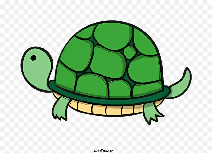 мультфильм черепаха，зеленая черепаха PNG