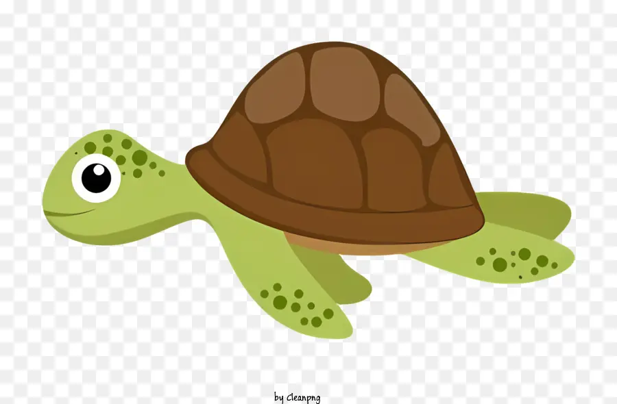 мультфильм черепаха，маленькая черепаха PNG