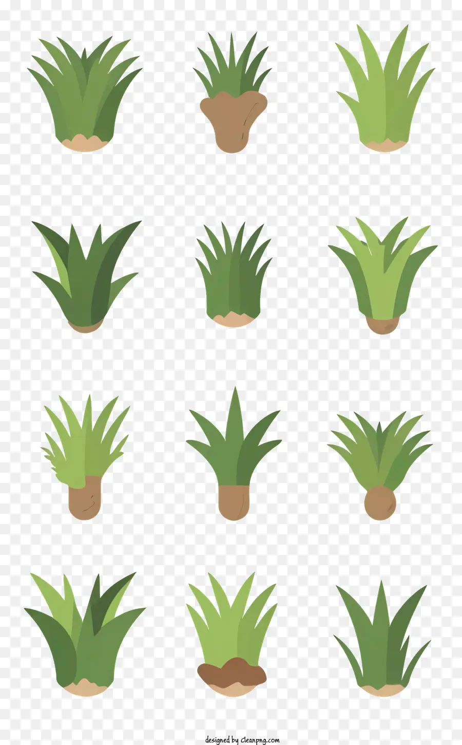 растения，зеленый PNG