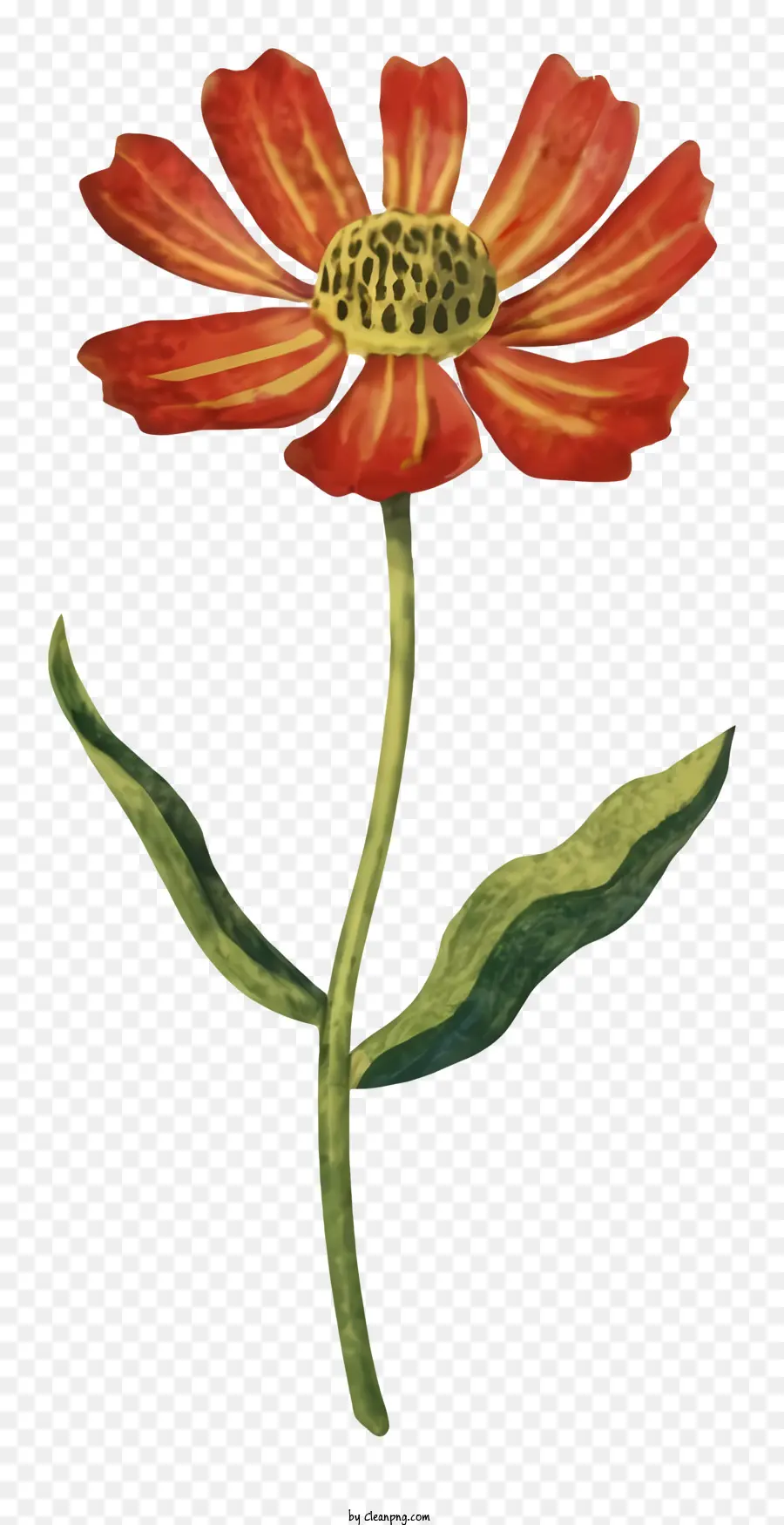 красный цветок，Цветочный цветок PNG