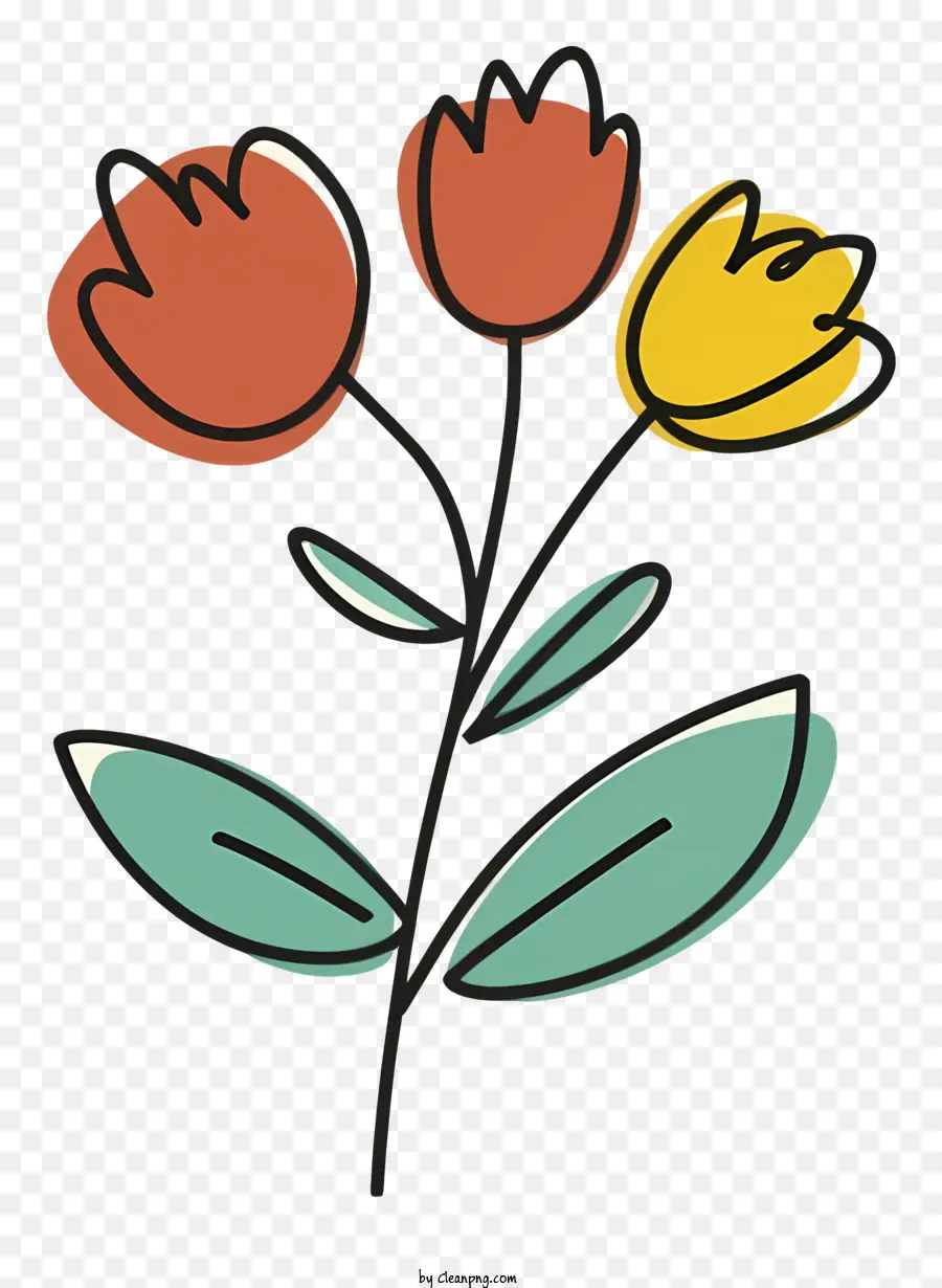 цветок，Тюльпан PNG