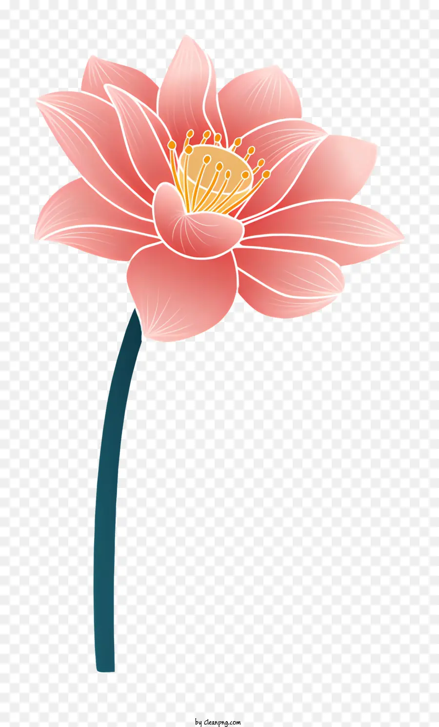 Розовый цветок лотоса，Желтый центральный лотос PNG