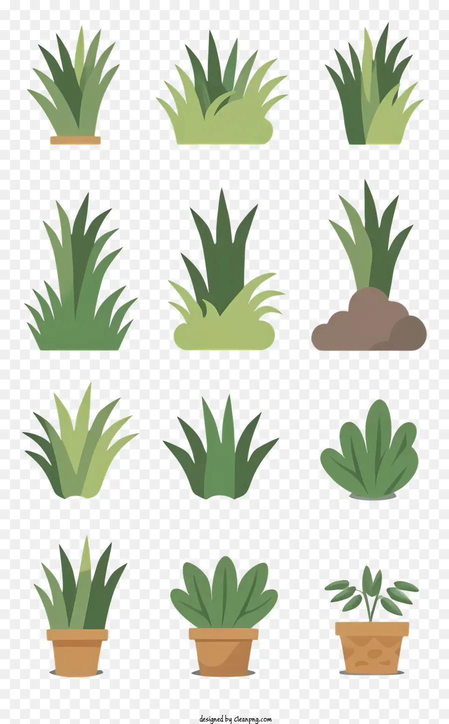 зеленые растения，коричневые растения PNG